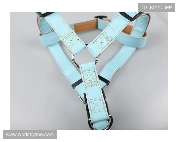 亚博登录地址首页最新入口导航帮助玩家轻松找到官方登录通道